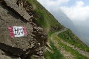 17 Al Rif. Montebello prendo il sentiero 204 per Lago Moro e Corno Stella